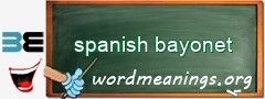 WordMeaning blackboard for spanish bayonet